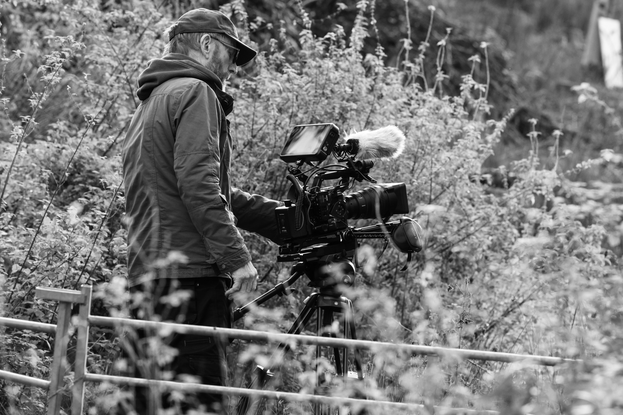 The home for great filmmakers and video artists — LettsArt Blog