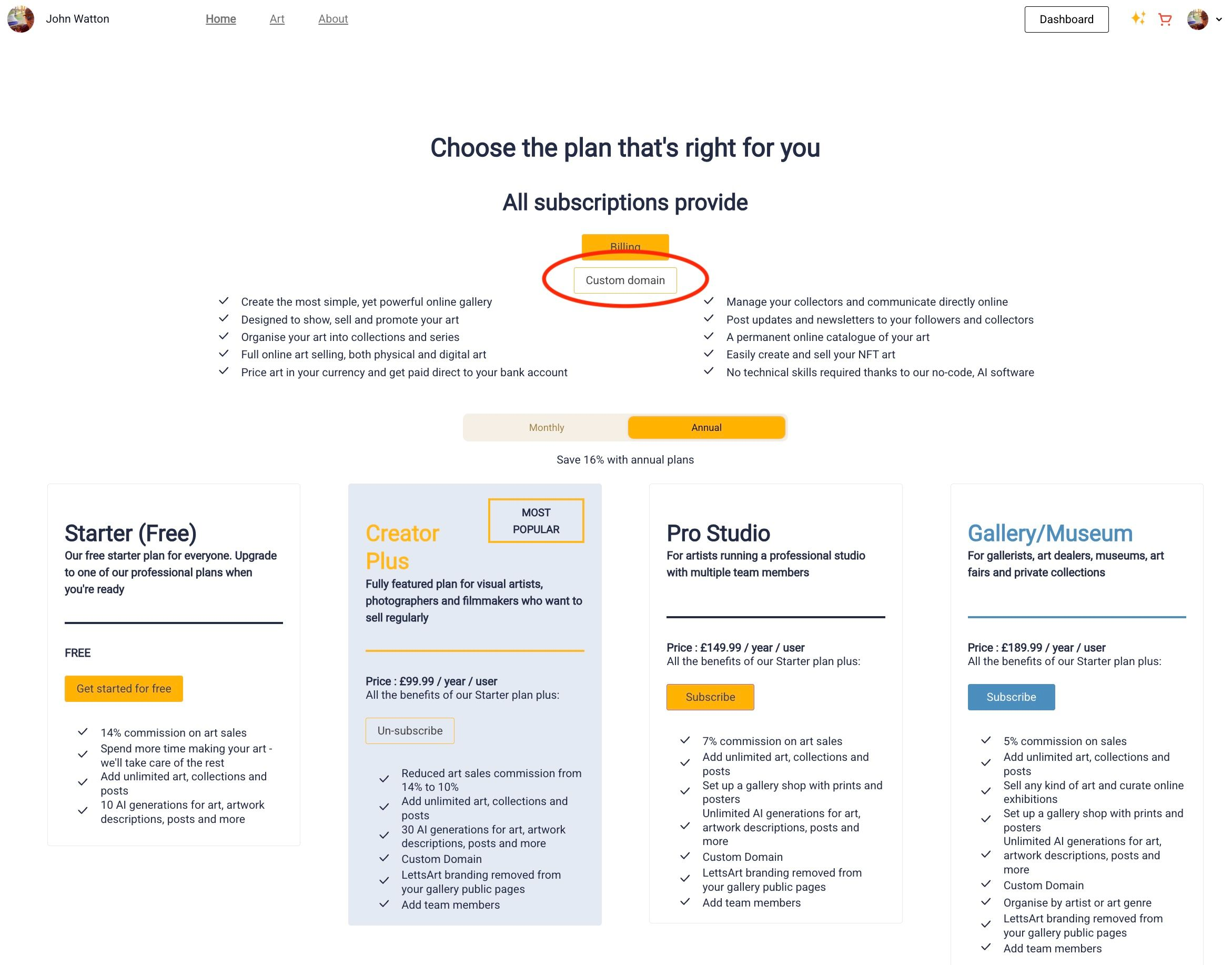 Upgraded to Creator Plus? Here's how to create your custom domain! — LettsArt Blog